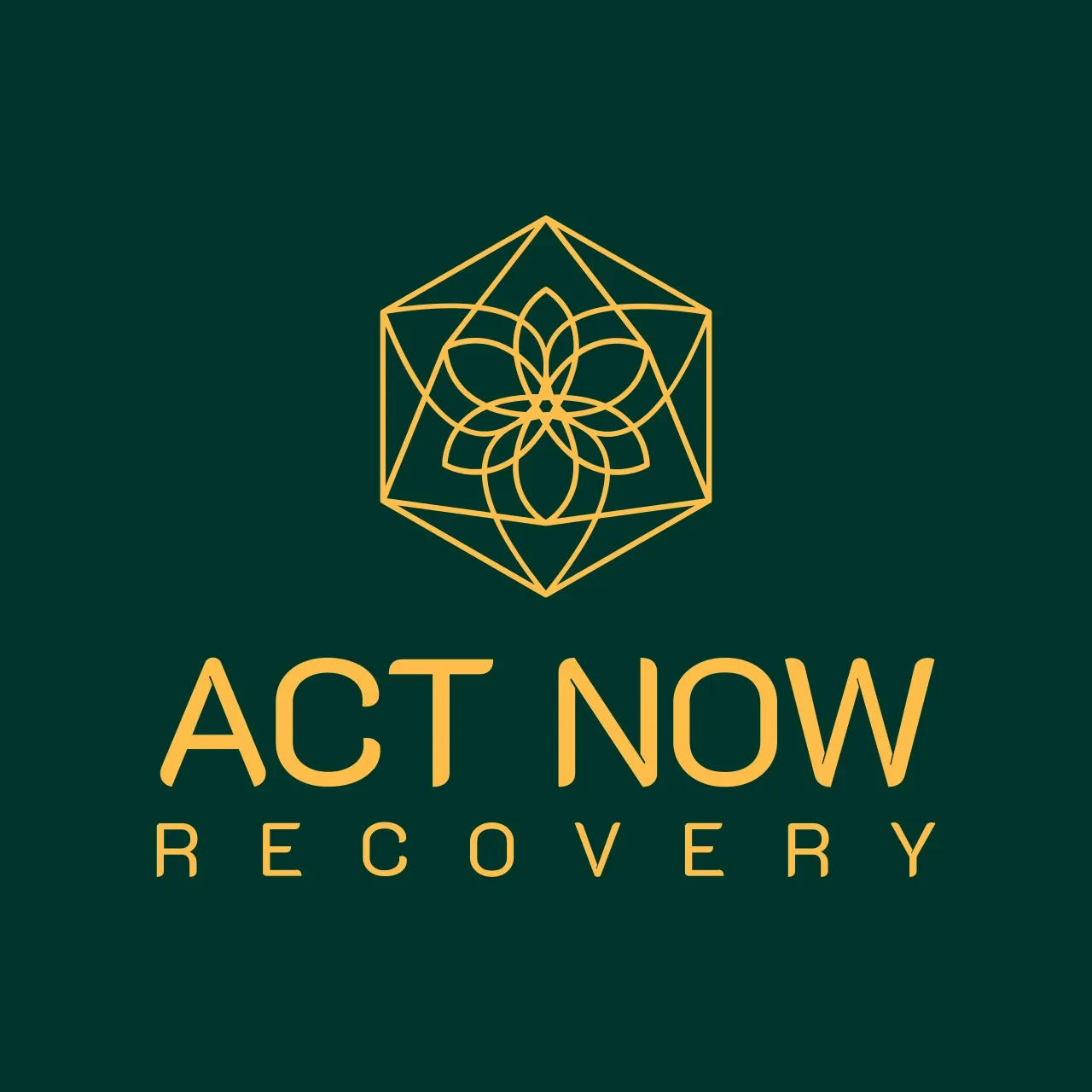 ACT NOW Recovery logotyp